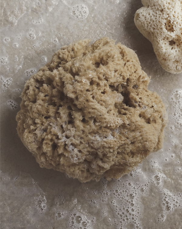Awesome Aquatics Natural Sea Wool Sponge 4-5 by Amazing Natural Renewable ResourceCreating The in Home Perfect Bath and Shower Experience